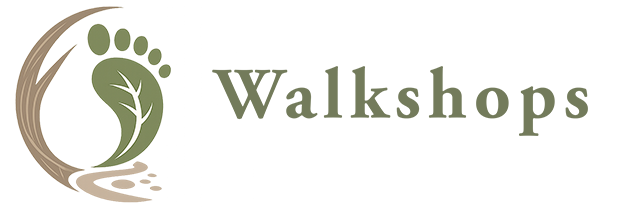 Walkshops – Walkshops in de natuur
